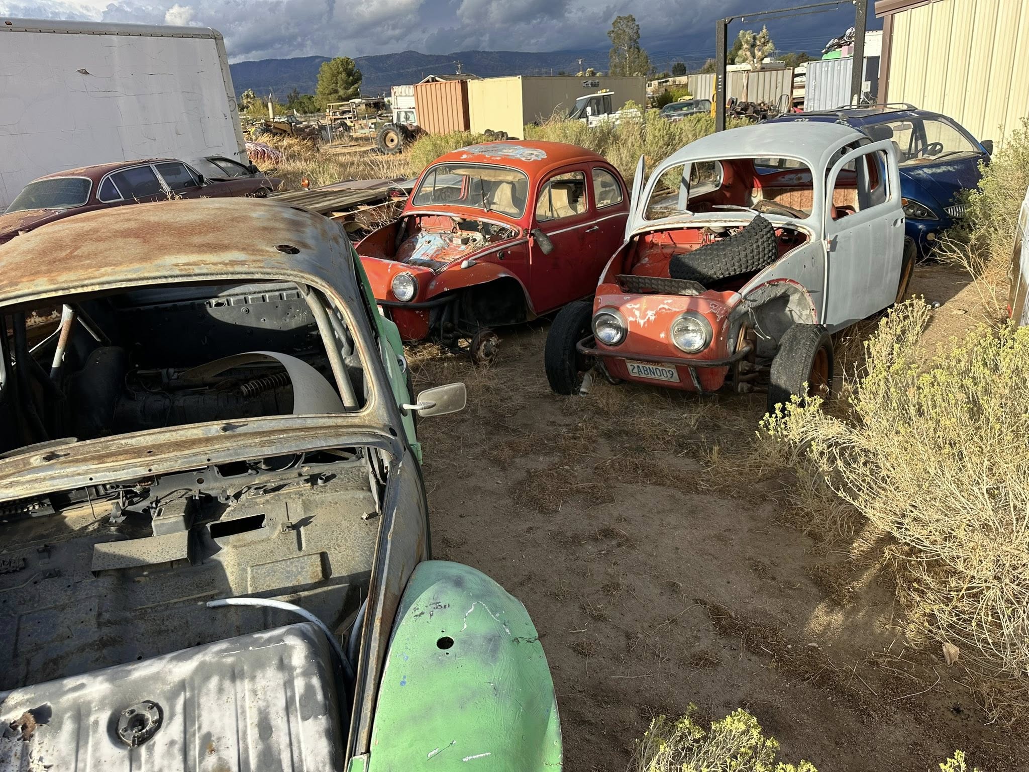 583923056_1273475878132391_7933000320389343504_n